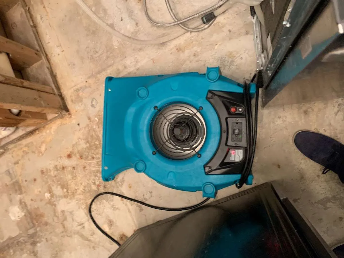 Air mover drying equipment for Mold Remediation & Removal in Woodlawn