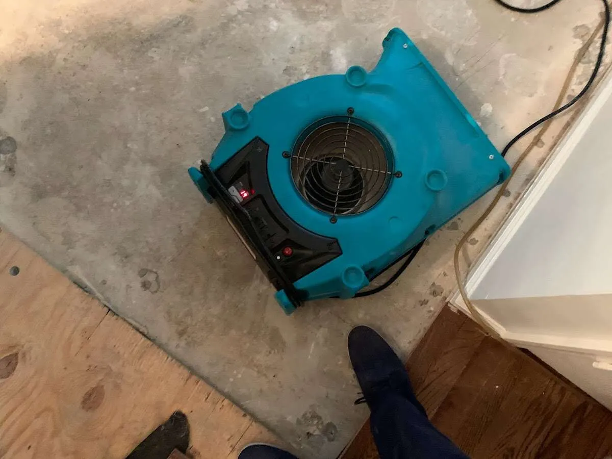 Air mover drying subfloor during Commercial Water Damage Restoration in Woodlawn